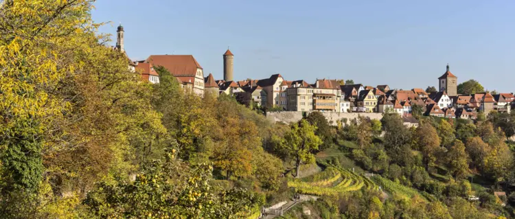 Weinberg Rothenburg ob der Tauber im Herbst