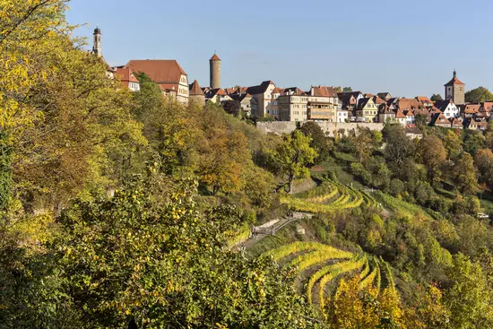 Rothenburg ob der Tauber vineyard in autumn